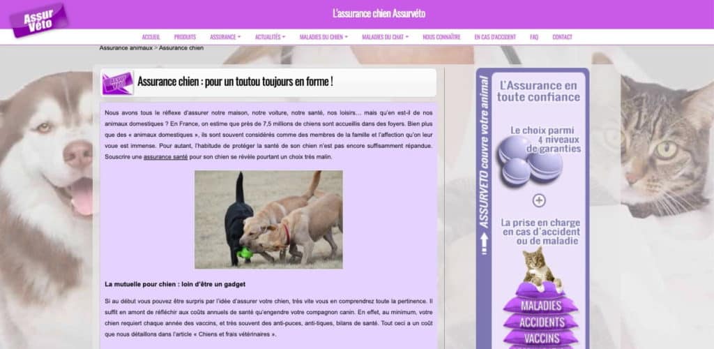 Avis mutuelle chien