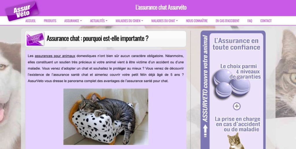Avis mutuelle chat