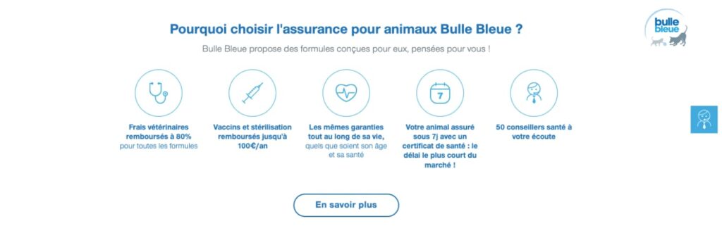 Bulle Bleue avis conditions