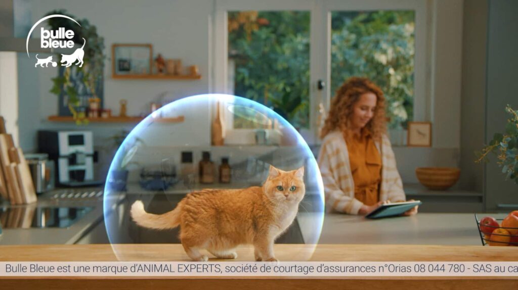 Assurance santé chat moins cher