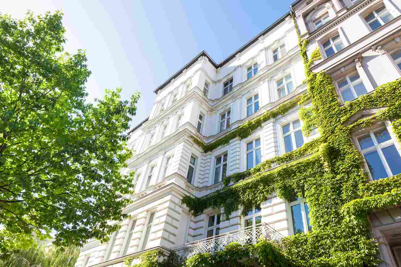 Vieux-batiment-arbres